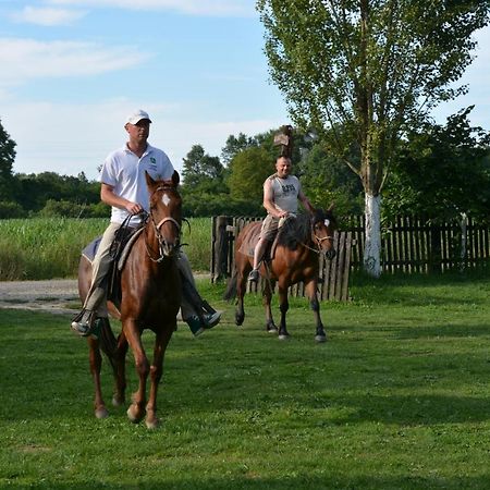 Гостевой дом Rural Tourism Family Ravlic Muzilovcica Экстерьер фото