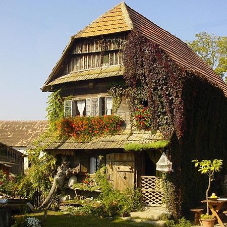 Гостевой дом Rural Tourism Family Ravlic Muzilovcica Экстерьер фото