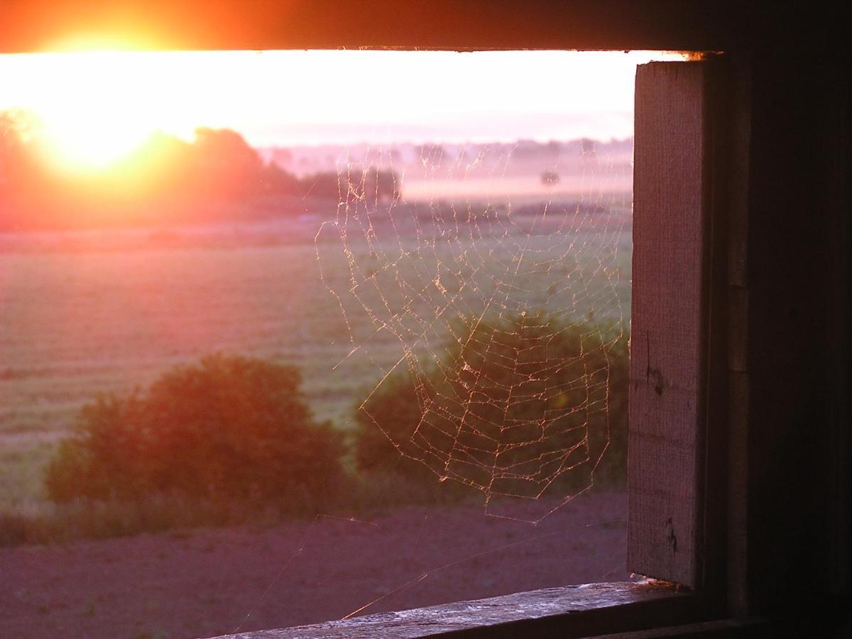 Гостевой дом Rural Tourism Family Ravlic Muzilovcica Экстерьер фото