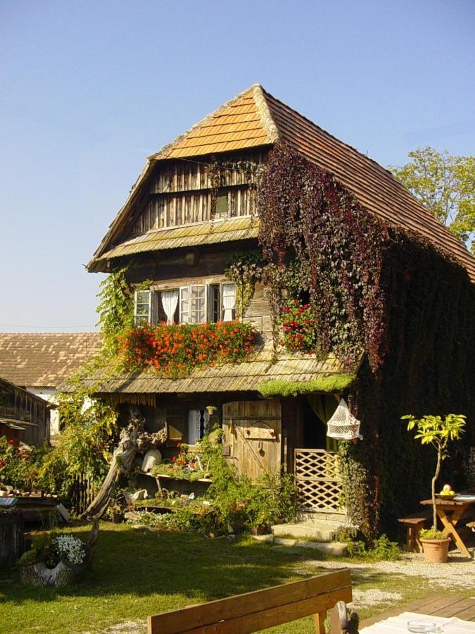 Гостевой дом Rural Tourism Family Ravlic Muzilovcica Экстерьер фото