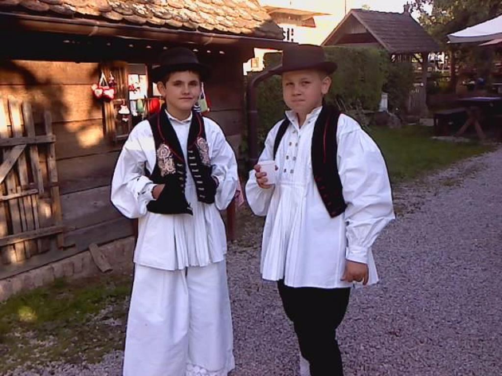 Гостевой дом Rural Tourism Family Ravlic Muzilovcica Экстерьер фото