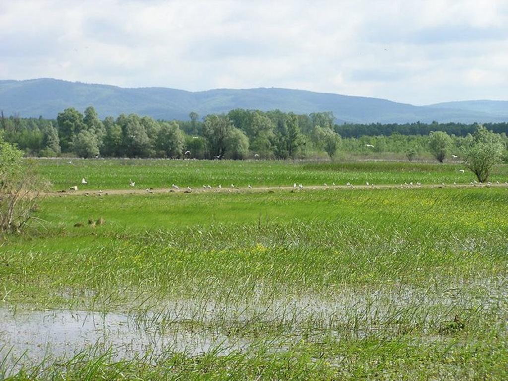 Гостевой дом Rural Tourism Family Ravlic Muzilovcica Экстерьер фото