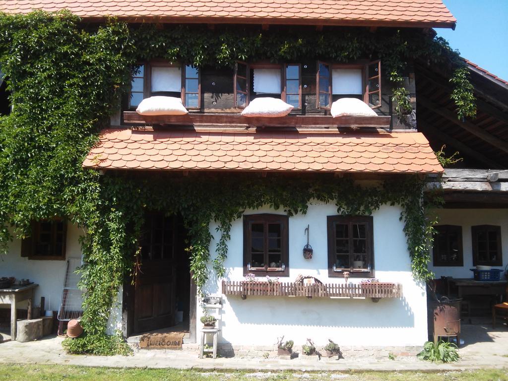 Гостевой дом Rural Tourism Family Ravlic Muzilovcica Экстерьер фото